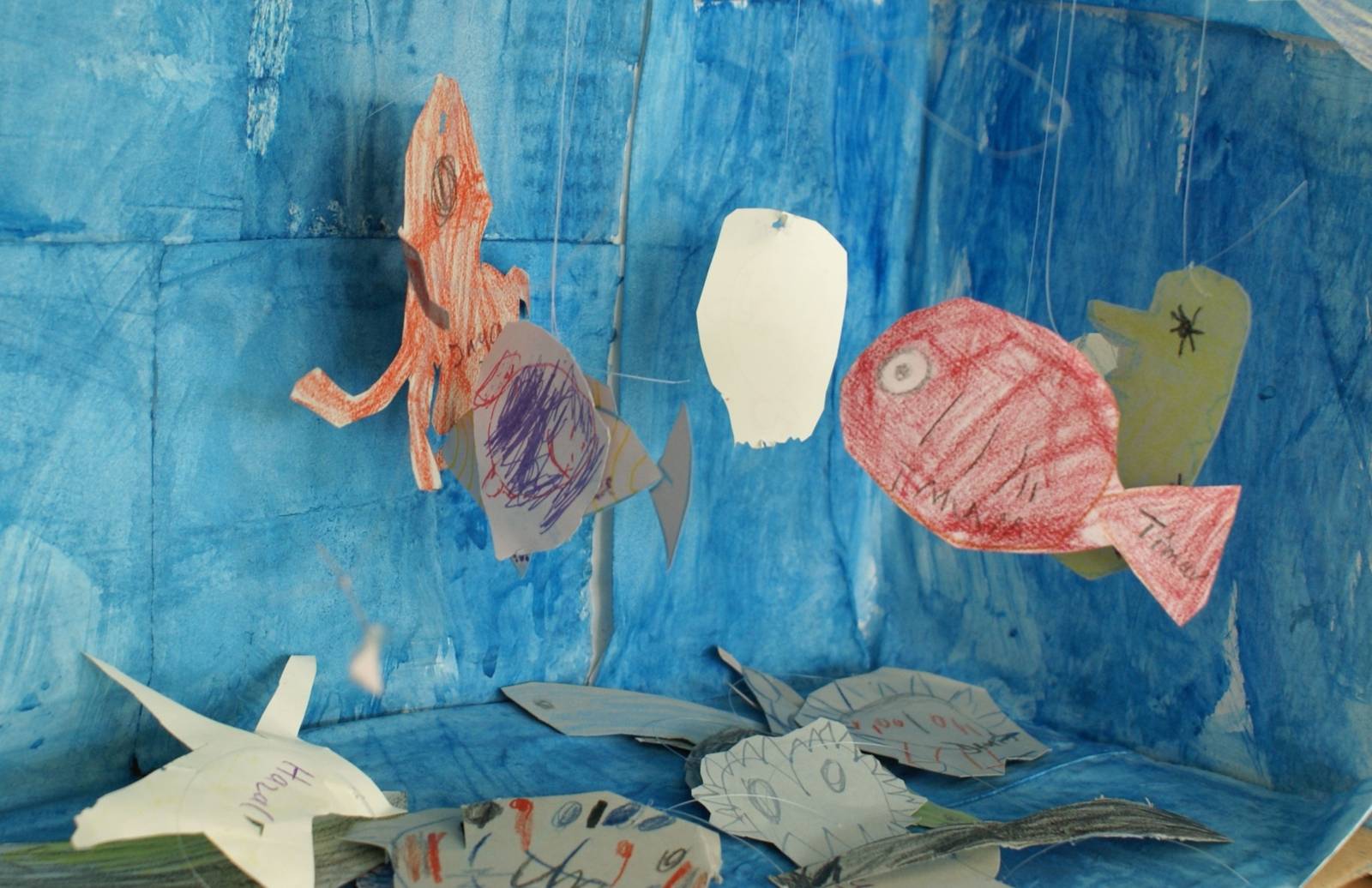 Eine Unterwasserlandschaft im Pappkarton mit Tintenfisch, Muscheln, Seestern und rotem Fisch.